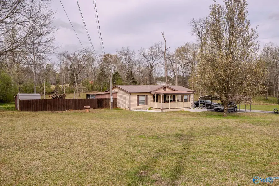 218 Hazel Street, Danville, AL 35619 - #3