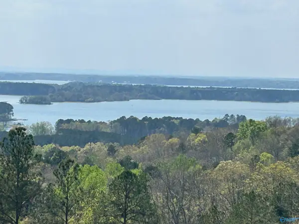 Lot 41 County Road 767, Cedar Bluff, AL 35959