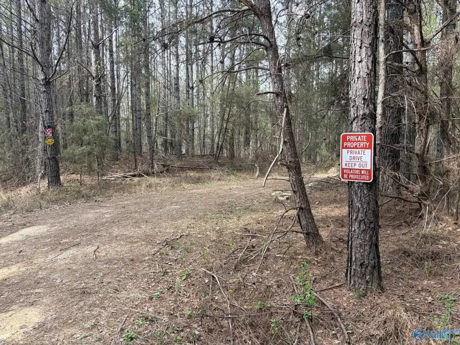 40ac County Road 3914, Arley, AL 35541 - #3