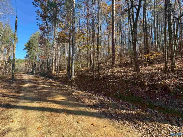 28 Acres County Road 917, Collinsville, AL 35961