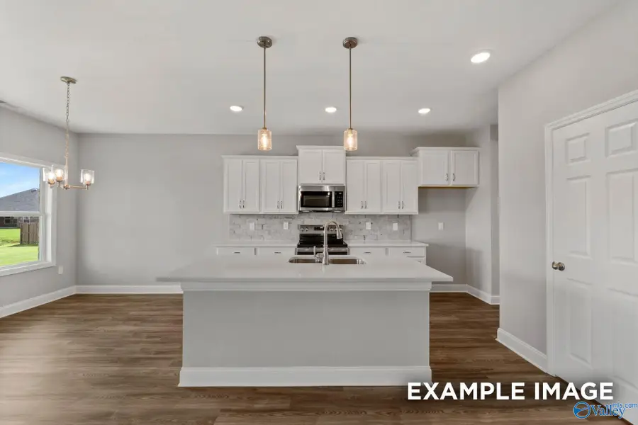 163 Heritage Lakes Boulevard, New Market, AL 35761 - #2