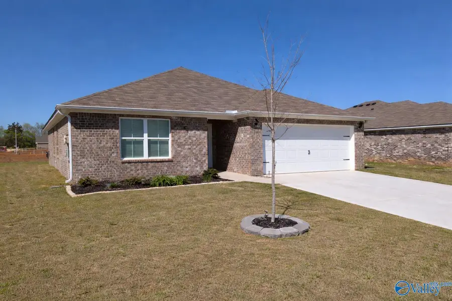 114 Domingues Avenue, Meridianville, AL 35759 - #3