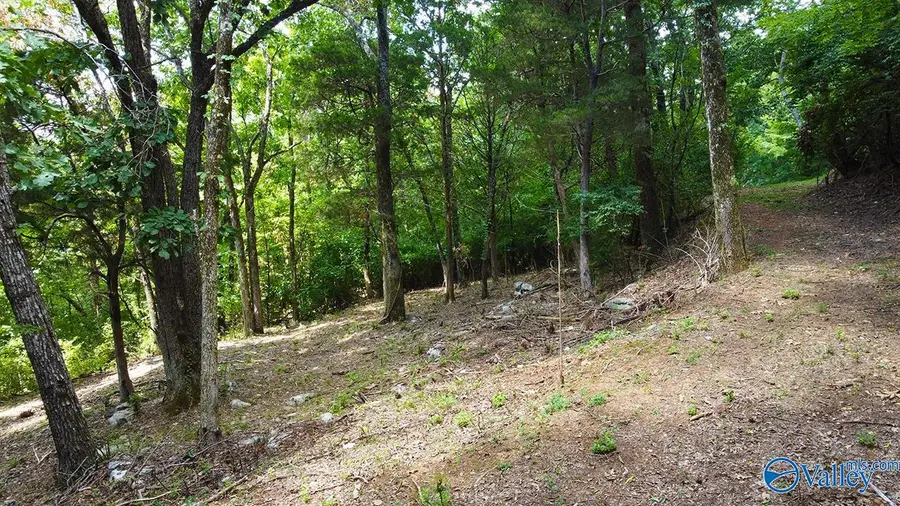 2216 Governors Bend Road Se, Huntsville, AL 35801 - #3