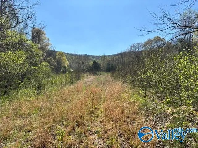 19 acres County Road 148, Stevenson, AL 35772 - #2