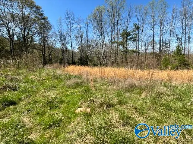 19 acres County Road 148, Stevenson, AL 35772 - #3