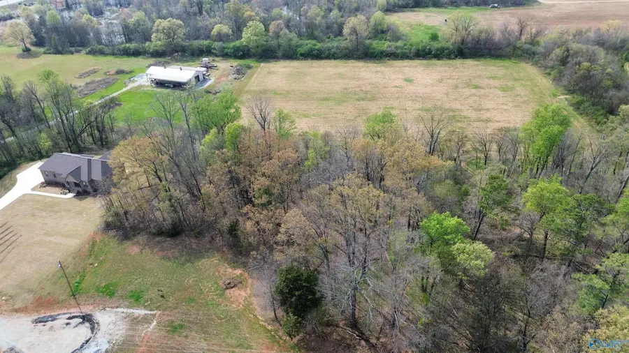 12243 Pecan Grove Way, Athens, AL 35613 - #2