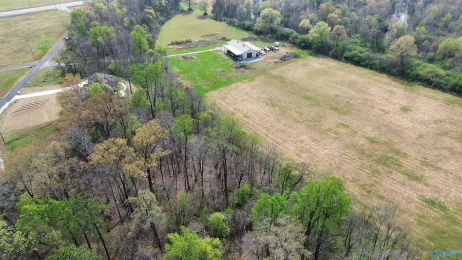 12243 Pecan Grove Way, Athens, AL 35613 - #3