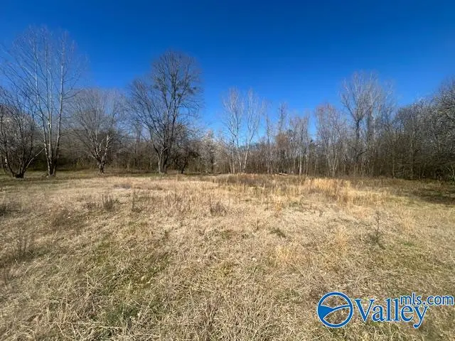 125 Riverdale Drive, Laceys Spring, AL 35754 - #3