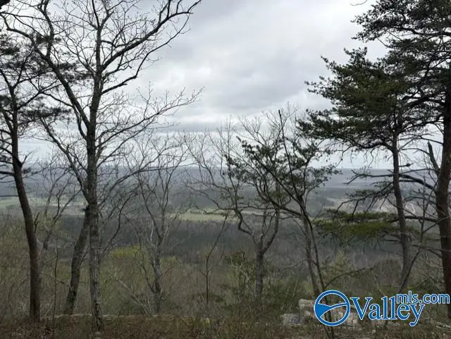 68 County Road 89 N, Mentone, AL 35984 - #3