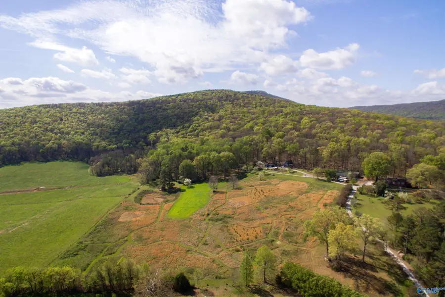 16.6 Acres Dug Hill Road, Brownsboro, AL 35741 - #2