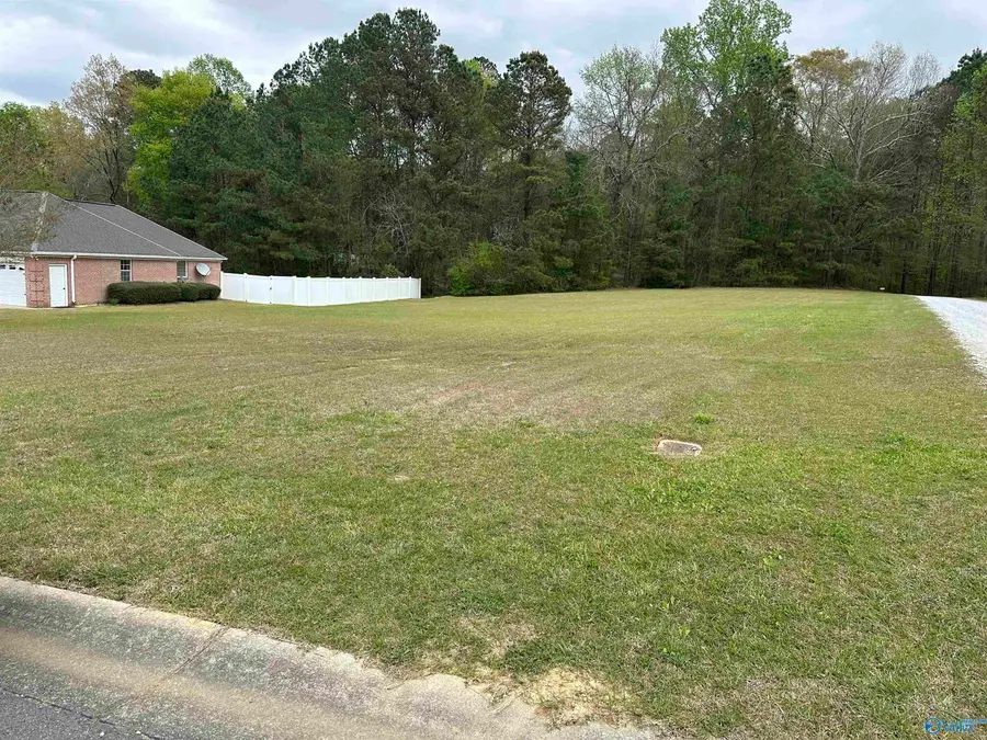 Lot #5 Veranda Trace, Hokes Bluff, AL 35903 - #2