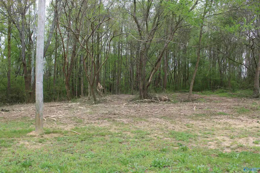 62 Luthers Road, Guntersville, AL 35976 - #3