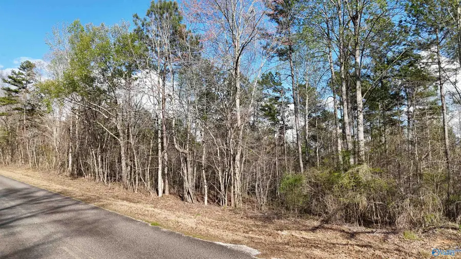 06 County Road 14, Muscadine, AL 36269 - #2