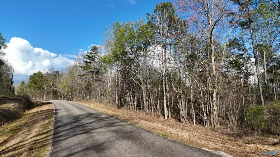 05 County Road 14, Muscadine, AL 36269 - #3