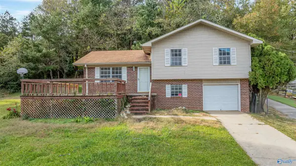 3812 Grand Avenue, Fort Payne, AL 35967