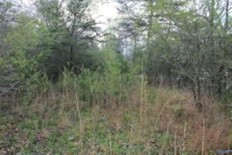 3.23 +/- Acres County Road 52, Cedar Bluff, AL 35983 - #2