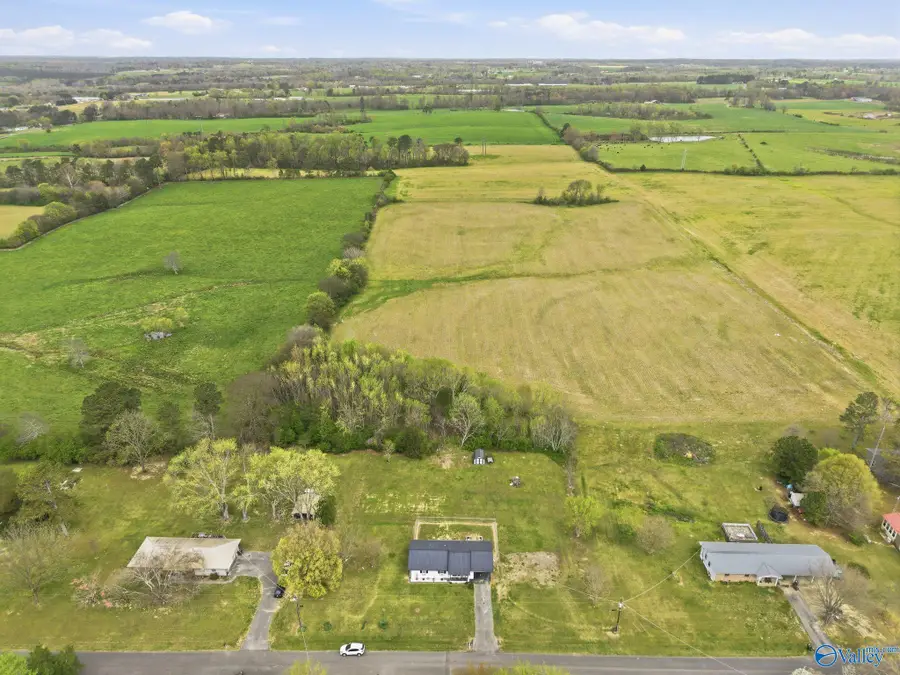 337 Thomas Drive, Fyffe, AL 35971 - #2