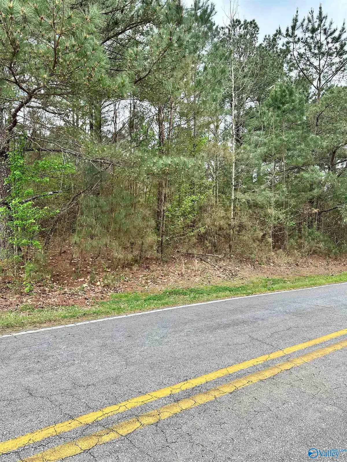Lot 12 West Limestone School Road, Lester, AL 35647 - #1