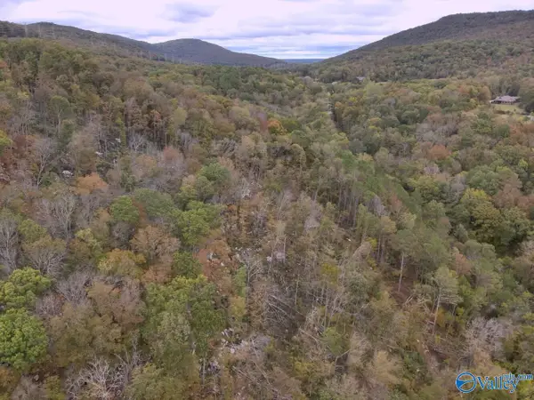 930 Dug Hill Road, Brownsboro, AL 35741