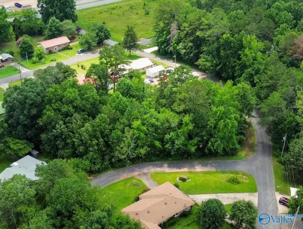 Lot 11 Plains Avenue Sw, Fort Payne, AL 35967