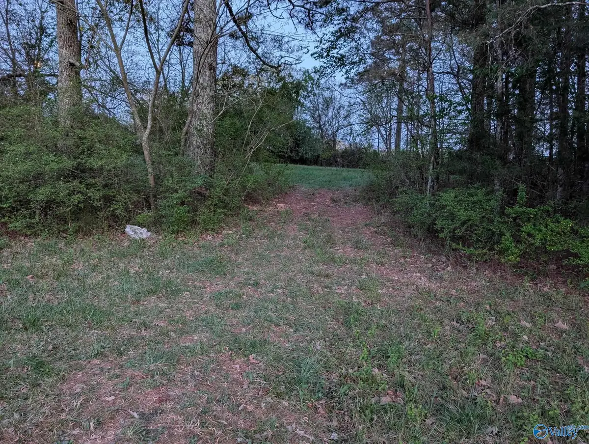 .9 ACRE T R Christian Road, New Hope, AL 35760 - #1