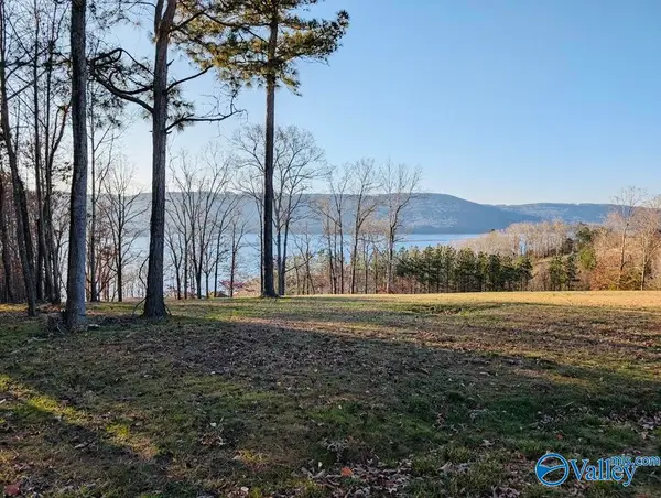960 Monte Sano Drive, Scottsboro, AL 35769