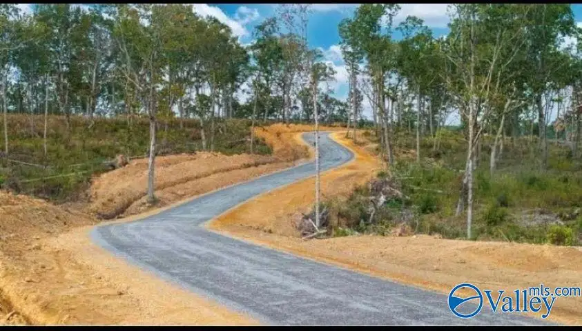 Tract 22.2 County Road 9114, Mentone, AL 35984 - #1