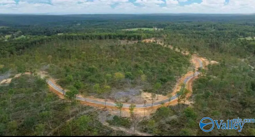 Tract 22.2 County Road 9114, Mentone, AL 35984 - #3