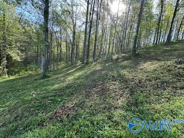 Lot 28 Hualapai Lane, Guntersville, AL 35976