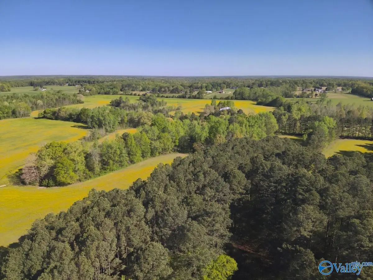 77 Acres Parker Road, Athens, AL 35611 - #1