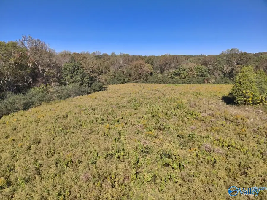 20 Acres Murphee Road, Eva, AL 35621 - #2