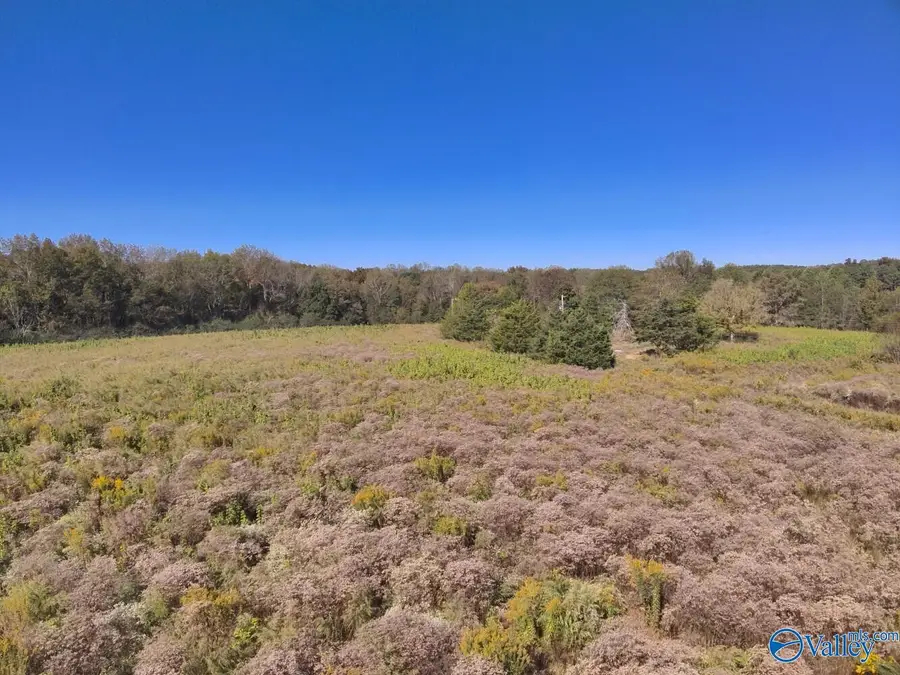 20 Acres Murphee Road, Eva, AL 35621 - #3