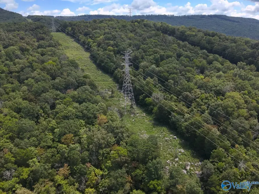 100 Acres County Road 91, Bryant, AL 35772 - #3