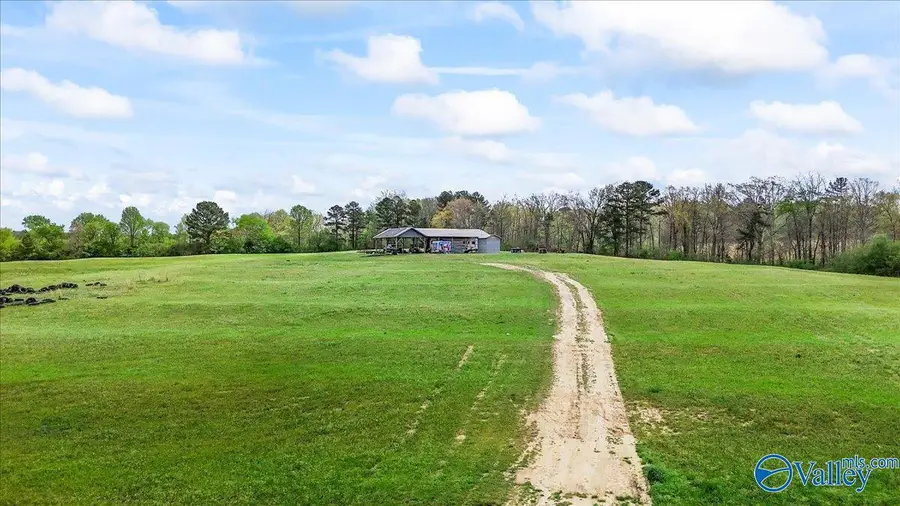 435 Sneadview Road, Altoona, AL 35952 - #2