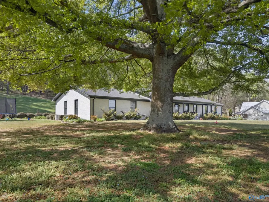 6496 Spring Creek Drive, Guntersville, AL 35976 - #3