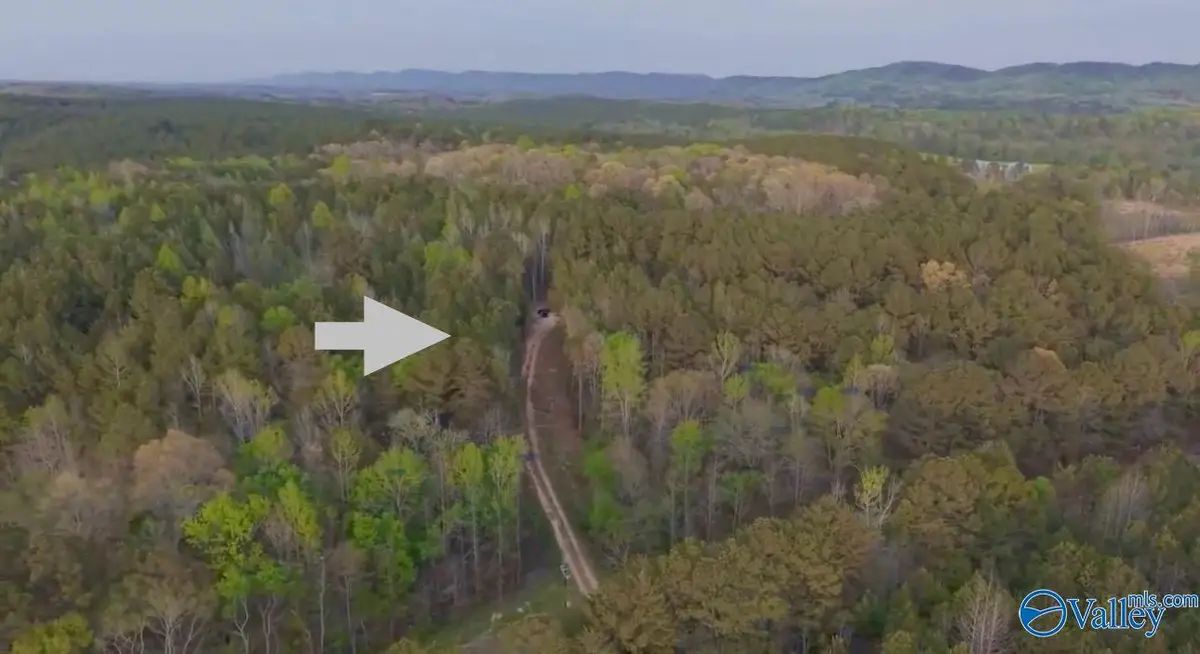 8318 Al Highway 35, Gaylesville, AL 35973 - #1