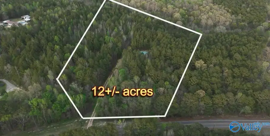 8318 Al Highway 35, Gaylesville, AL 35973 - #3