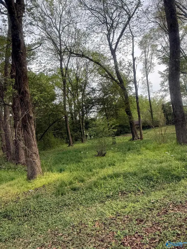 .31 10th Avenue, Arab, AL 35016