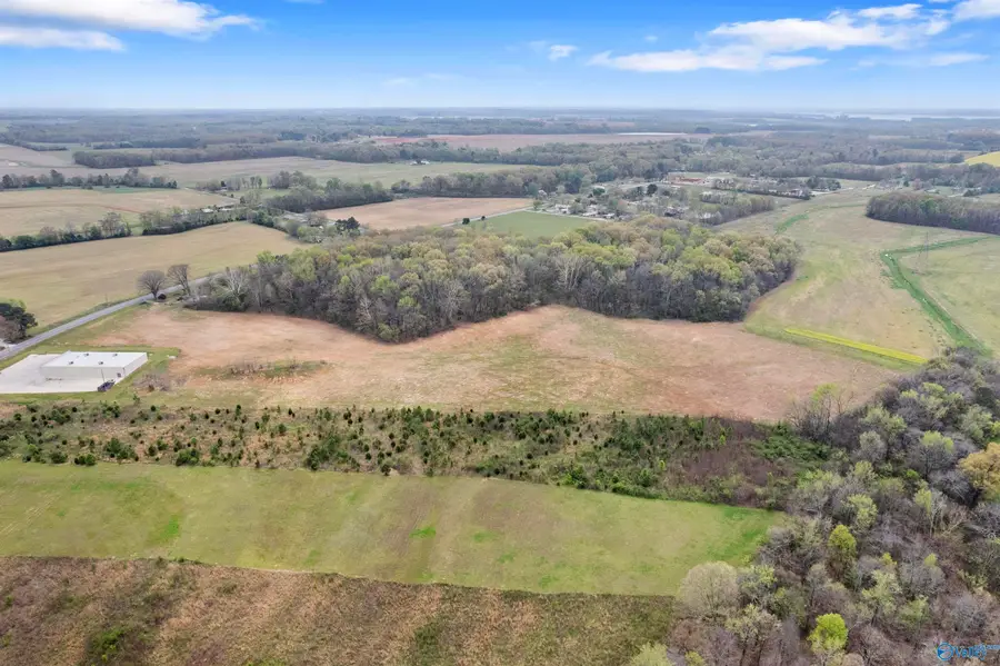 23.02 Acres Reid Road, Athens, AL 35611 - #3