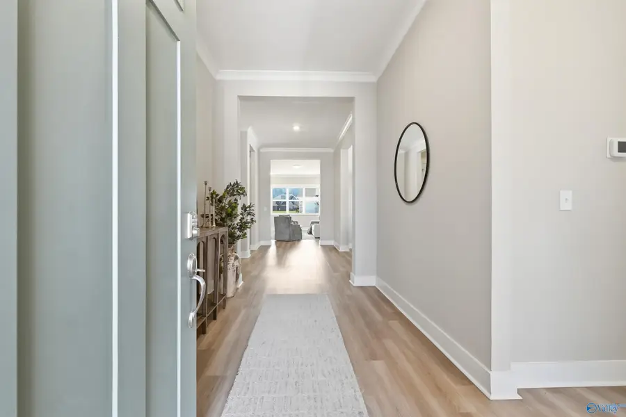 7510 Speckle Belly Boulevard, Owens Cross Roads, AL 35763 - #3