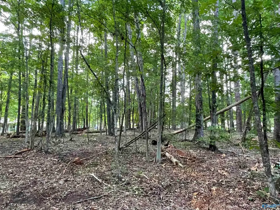 2 Riverside Drive, Gadsden, AL 35901 - #2