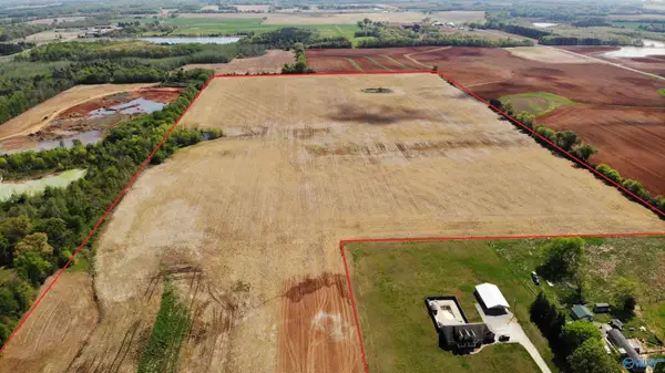 72 acres Hatton School Road, Leighton, AL 35646