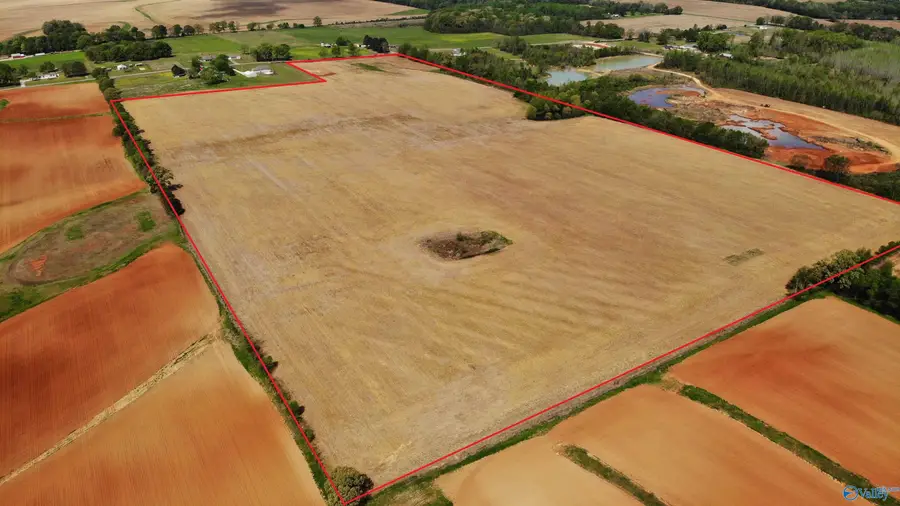 72 acres Hatton School Road, Leighton, AL 35646 - #2