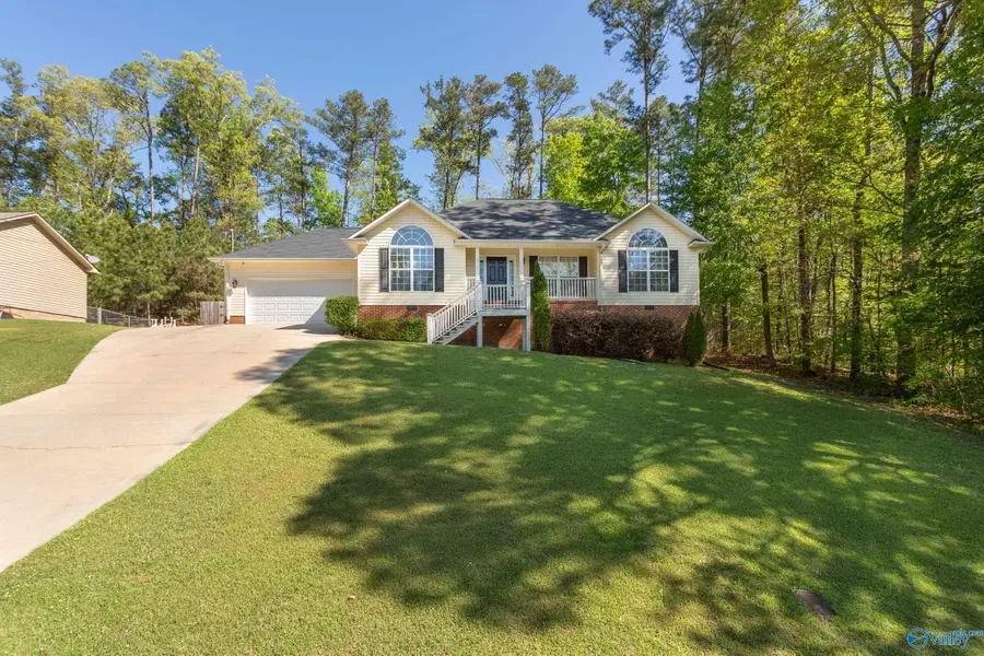 1844 Sheila Avenue, Southside, AL 35907 - #3
