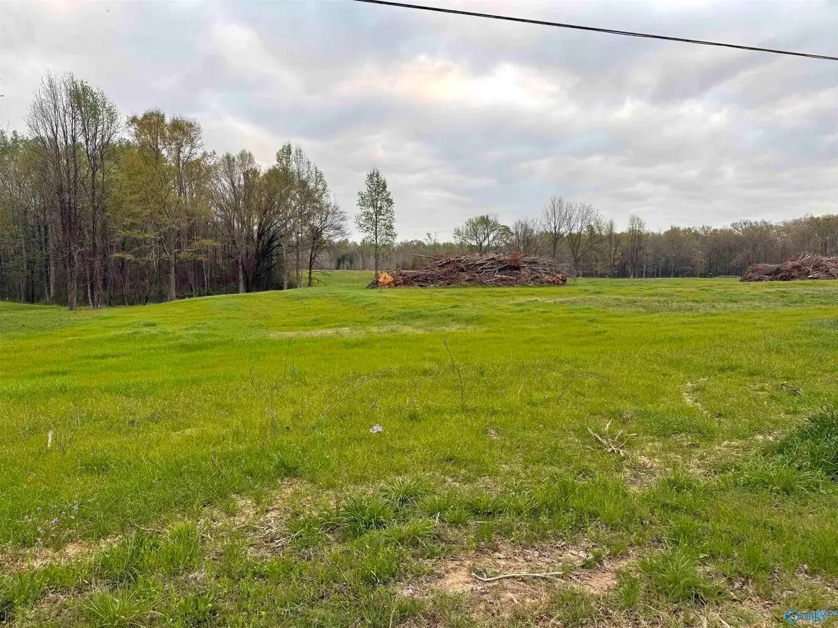 2 Glass Hollow Road, Athens, AL 35611 - #1