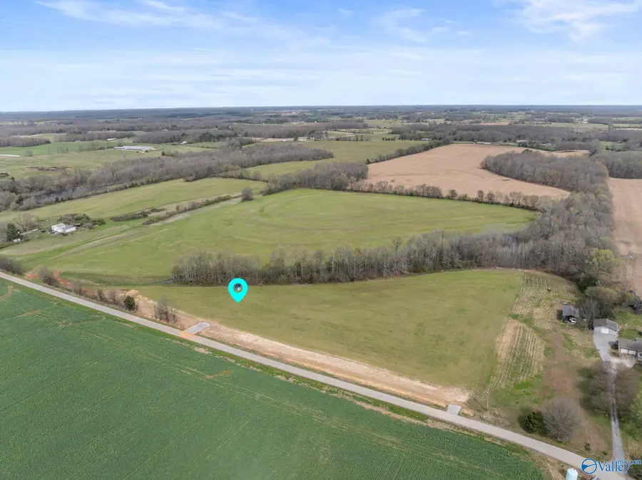 25634 W County Line Road, Anderson, AL 35610 - #3
