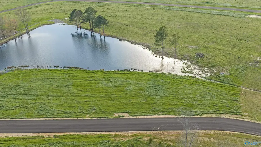 Lot 1 Garrett Street, Rainsville, AL 35986 - #2