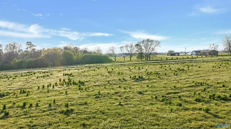 Lot 7 Garrett Street, Rainsville, AL 35986 - #3