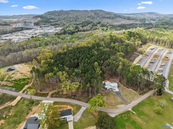 Lot 19 Adventure Road, Guntersville, AL 35976