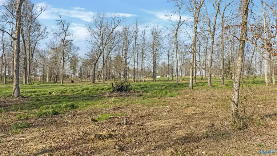 Lot 20 Garrett Street, Rainsville, AL 35986 - #3